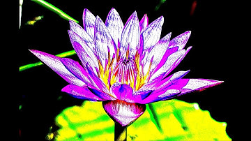 Adobe Photoshop Free Alternative GIMP- -From Photo To Soft Color Pencil Drawing .