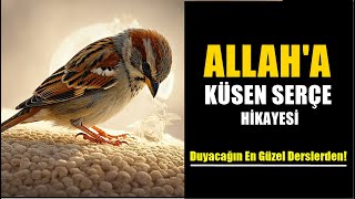 Allaha Küsen Serçenin İbret Dolu Hikayesi