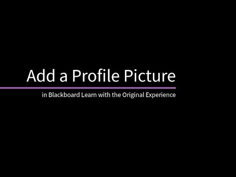 Video: Hur fäster man en profil på en gipsprofil?