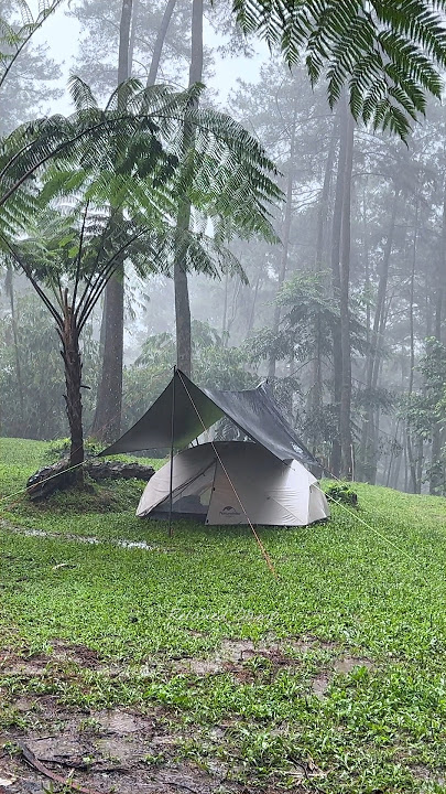 Amazing rain camping, so get relaxed when camping in rain sound (ASMR) #campinginheavyrain #shorts