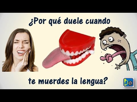 La lengua no muerde 4–¿Qué significa el significado? – Necesitas otra lengua