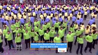 Itinerary powered by Trivago: Cherry Blossom Festival