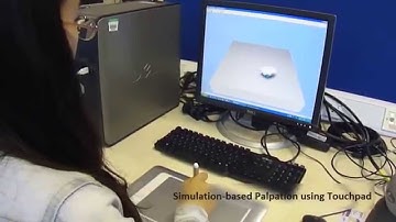 Simulation-based Palpation using Pseudo-haptic Feedback - King