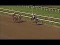 🇺🇸 In honor of the G1 Whitney, let’s take a look back at #Frosted winning this race in 2️⃣0️⃣1️⃣6️⃣!