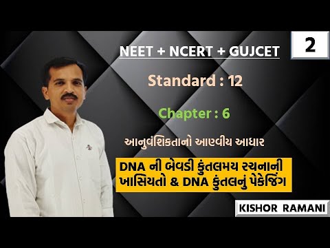 std 12 ch 6 part 2 || DNA ની બેવડી કુંતલમય રચનાની ખાસિયતો & DNA કુંતલનું પેકેજિંગ