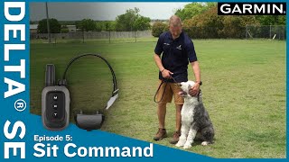 Ep. 5 Sit Command – Delta® SE handheld & dog collar