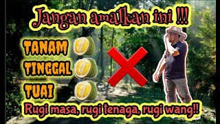 Tanam, Tinggal, Tuai.. Jangan Amalkan!!!