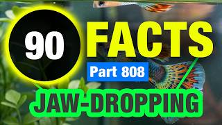 90 Mind Blowing Facts You Won’t Believe