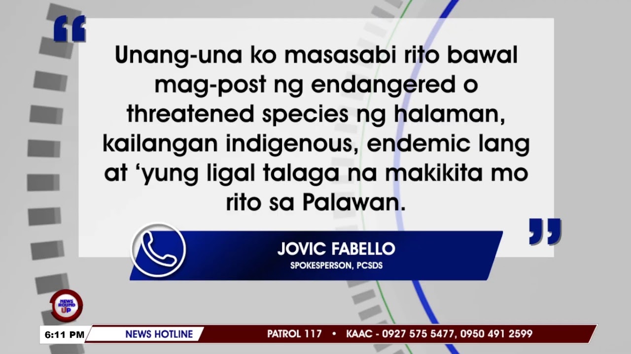 Alpha News Philippines