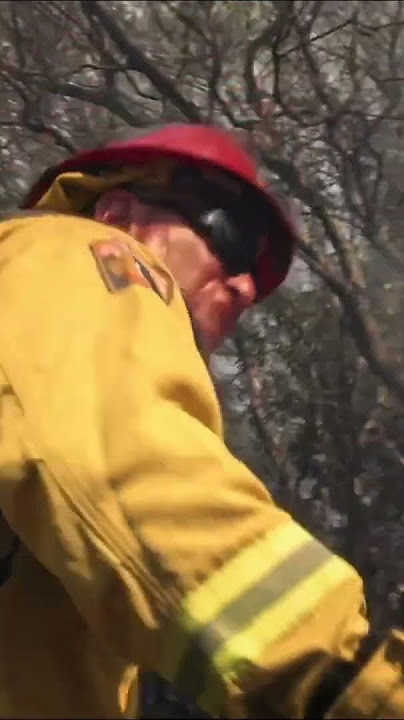 Helicopter Saves Firefighters From Wildfire #shorts #calfire