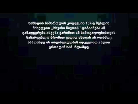 ,,მე და კონსტიტუცია '' მე-10 საჯარო სკოლა