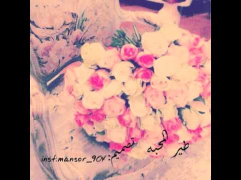 طير المحبه اداء:محسن ال مطارد