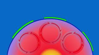 Convection Animation