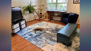 LUXE WEAVERS Kingsbury Abstract Premium 8x10 Area Rug 8722 review