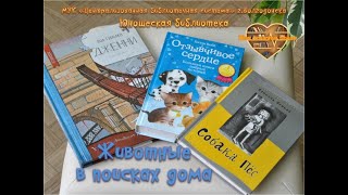 Животные в поисках дома_обзор книг