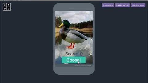 Bilkey AP Exam Video Create Project - Duck Duck Goose