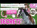 1 hour training time reading star stable secrets you never told anyone  timer  no trailer