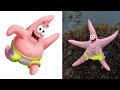 Spongebob Squarepants Characters In Real Life || Big Tomato