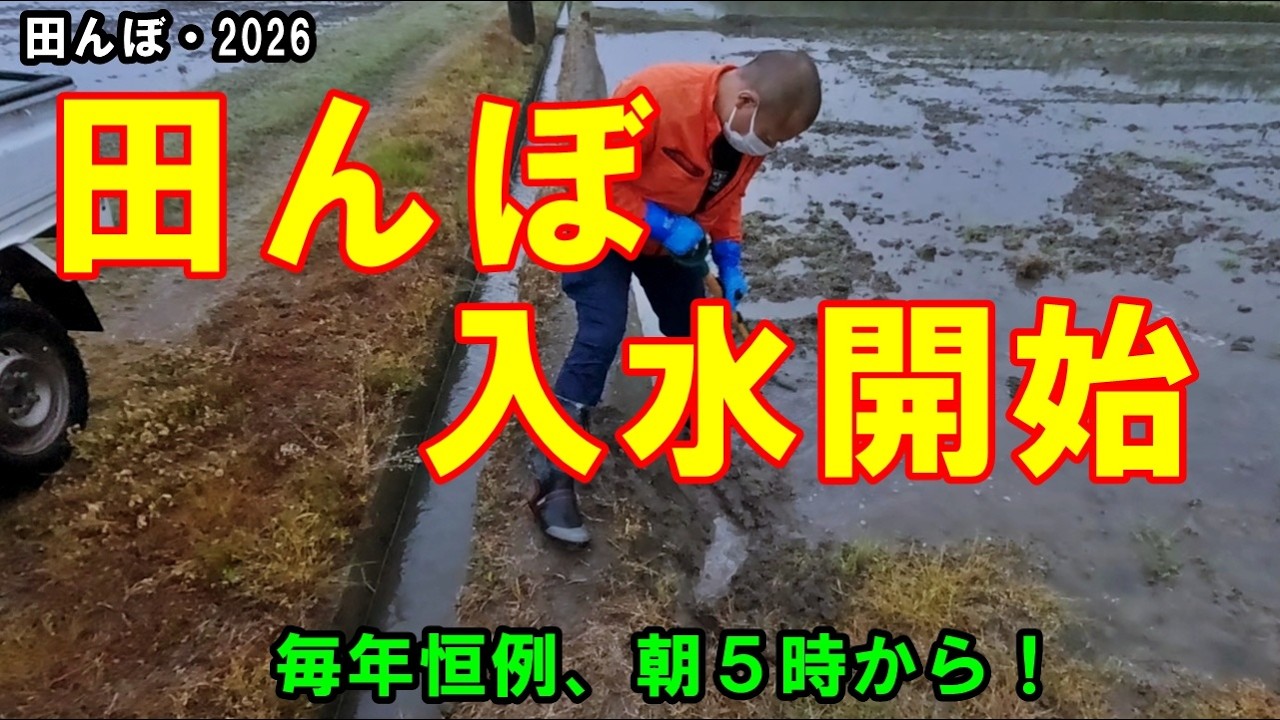 2026 Rice Cultivation Begins] We've finally flooded the rice