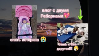 картинка: влог с двумя реборнами 🎀 прогулка🌷 сходили в магазин 😌 Ева и Саша подрались! 😯 истерика у Саши🍃😭