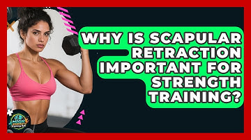 Why Is Scapular Retraction Important For Strength Training? - High Energy Training Hub