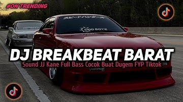 DJ PANDA TERBARU 2025 || DJ BREAKBEAT BARAT FULL ALBUM VIRAL TIKTOK TERBARU 2025