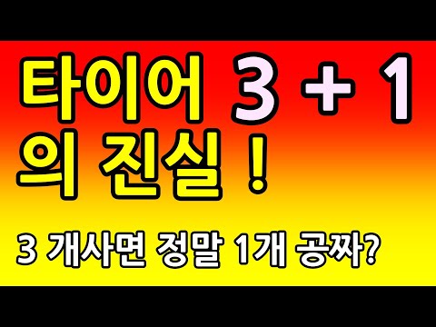   타이어 3 1의 진실