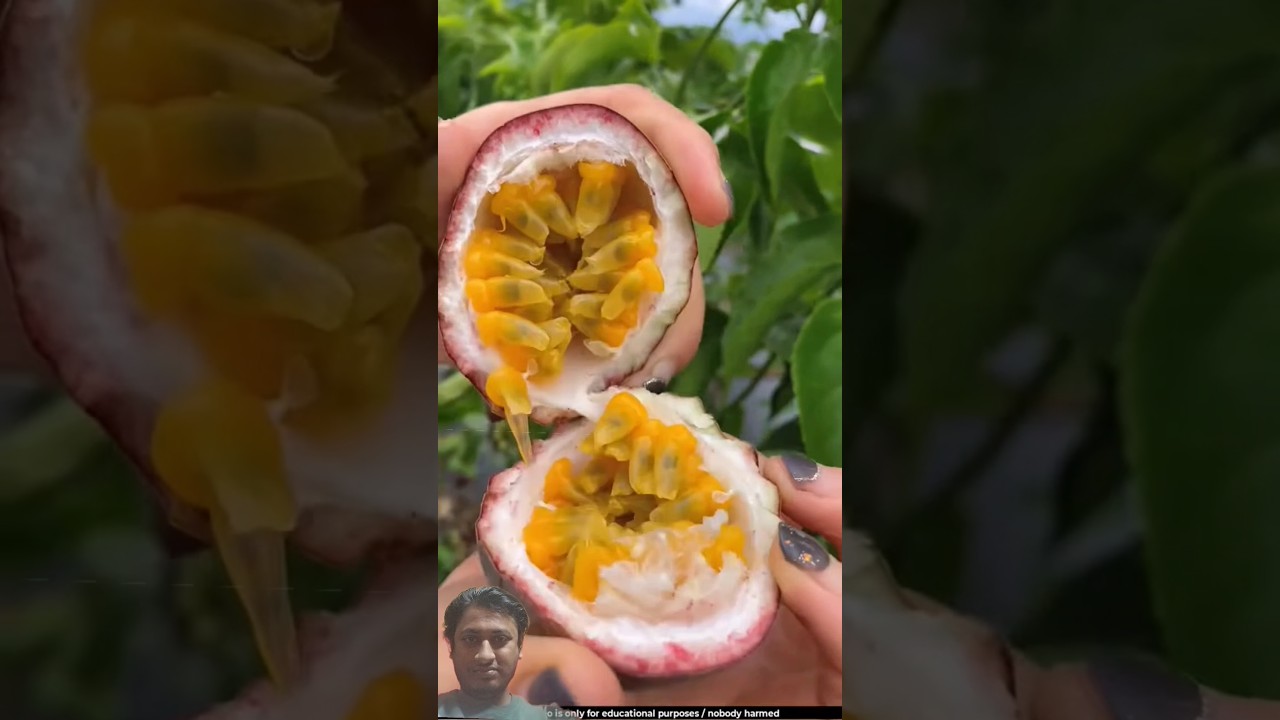 খাট্টা মিঠা প্যাশন ফ্রুট।