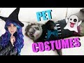 I Bought HALLOWEEN COSTUMES For My Pets! | EMZOTIC