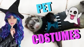 I Bought HALLOWEEN COSTUMES For My Pets! | EMZOTIC