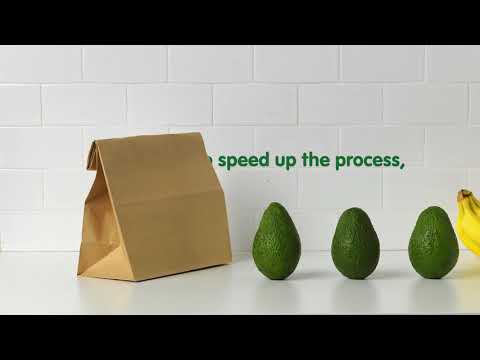 Australian Avocados - How to ripen a Hass avocado