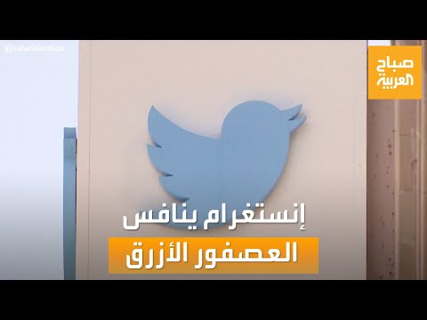 صباح العربية إنستغرام تختبر إطلاق تطبيق ينافس العصفور الأزرق تويتر