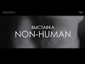 «Сестры Поповы. Non-Human». Выставка в музее Эрарта