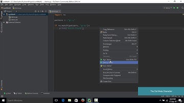 087 The dot metacharacter
