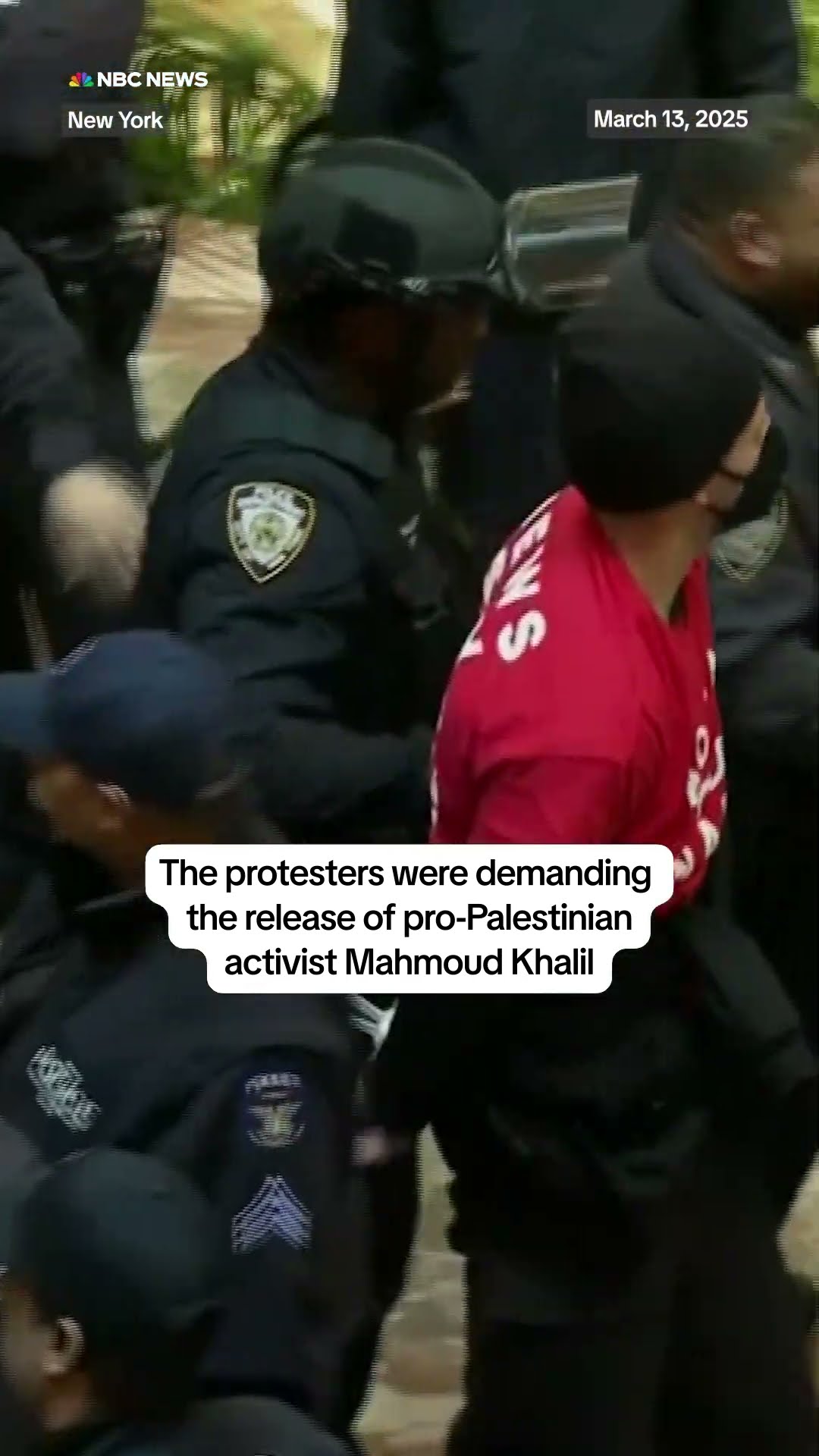 Dozens of protesters were arrested while staging a sit-in at Trump Tower