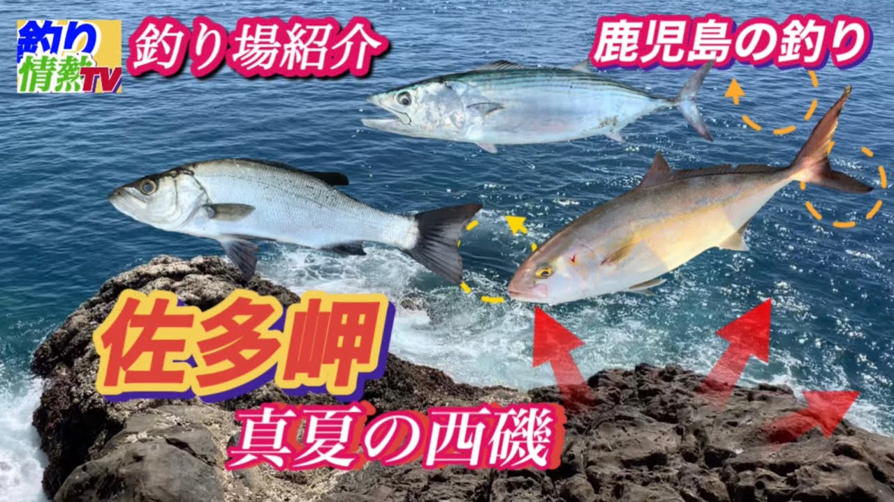 釣り場紹介❗️鹿児島の釣り　佐多岬❗️真夏の西磯‼️#鹿児島釣り #釣り情熱tv #ジギング #ロックフィッシュ