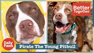 Pirate the Young Pit Bull is an Instagram Advocate for All Pit Bull Dogs | Better Together