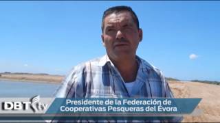 Granjas acuícolas están arrojando desperdicios a mar abierto