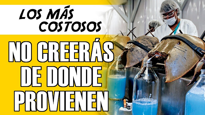 Los 10 Líquidos Más Costosos y Caros del Mundo