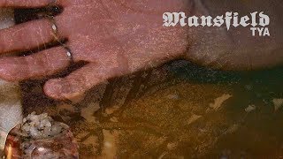 Mansfield.TYA - Animal (Etienne Bonhomme Remix) (official audio)