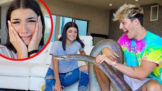 SCARING CHARLI DAMELIO WITH HER BIGGEST FEAR!