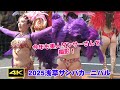 【2025浅草サンバカーニバル】今年も美人ダンサーさんを撮影！【4K】【sambacarnival】