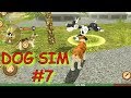 DogSim #7. Играю онлайн. Победили с подписчицей боссов. Злая Корова и РобоПес
