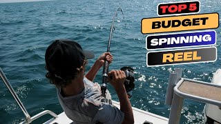 Top 5 Affordable Spinning Reels for Anglers on a Budget Aliexpress in 2024 by Women's World 274 views 2 months ago 5 minutes, 51 seconds