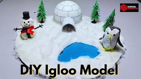 How To Make an Igloo Model For School Project/ DIY Igloo Model For School Exhibition/ Igloo House