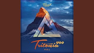 Something Beautiful (Tritonia 400)