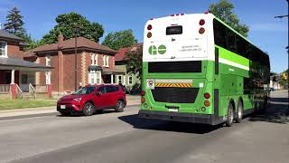 GO Bus 31A: To Toronto Union Station on Main Street, Brampton