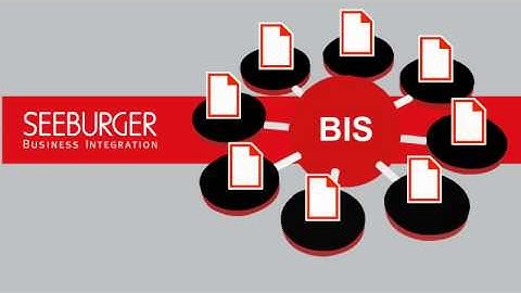 Seeburger Business Integration Suite 2-Minute Explainer Video