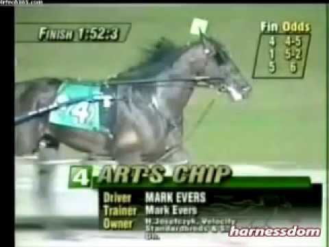 2003 Scioto Downs ARTS CHIP Jug Preview $75,000 Mark Evers