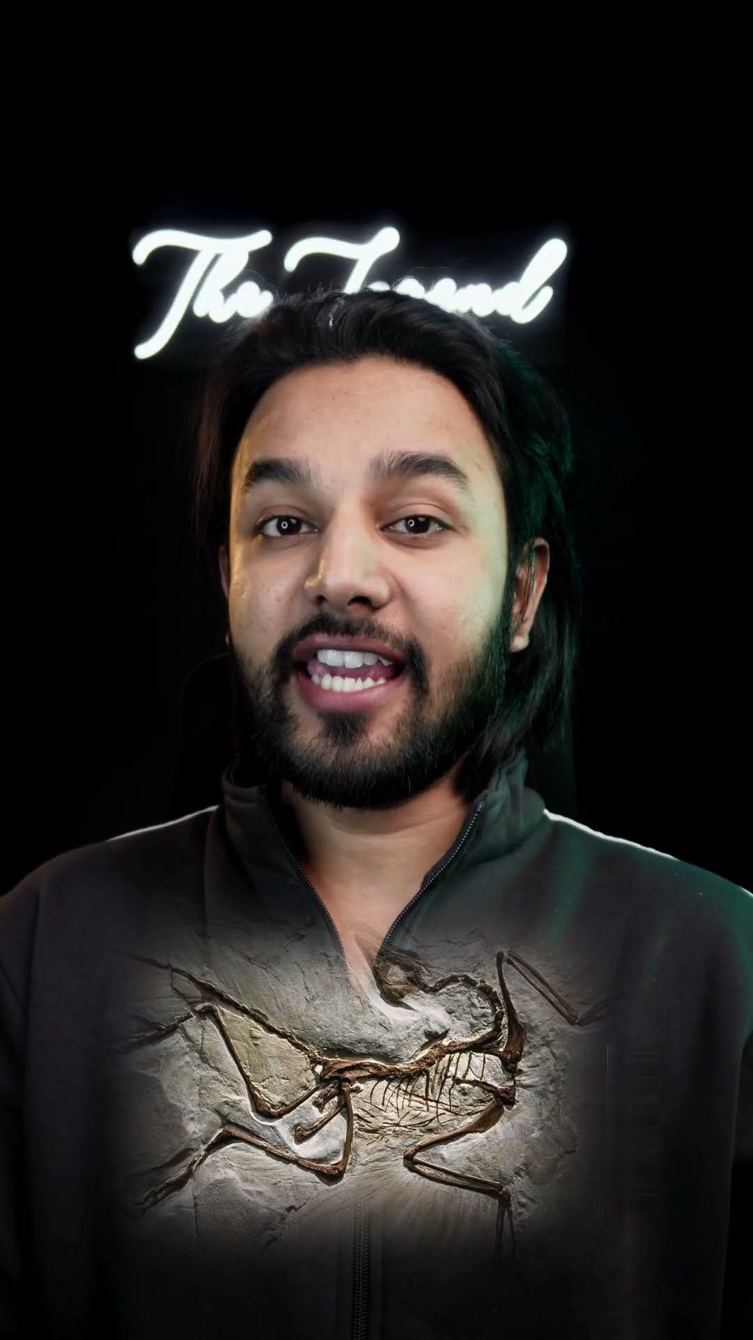How Dinosaurs Actually Looked Like